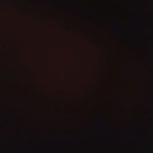 Meet your Posher, Luis